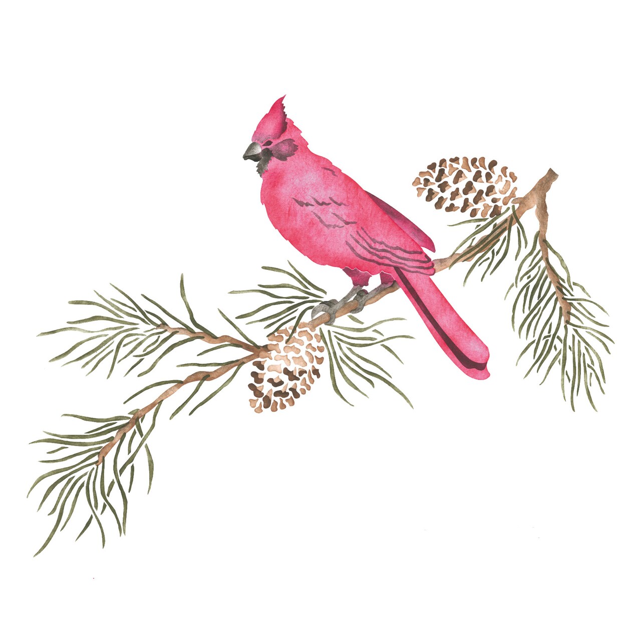 Cardinal on a Pine Branch Wall Stencil | 3187 by Designer Stencils |